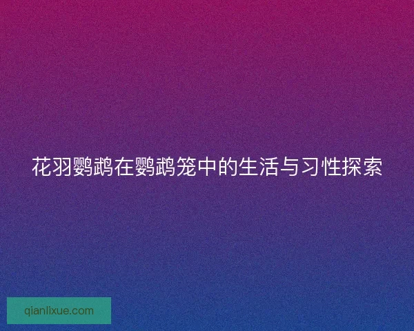 花羽鹦鹉在鹦鹉笼中的生活与习性探索