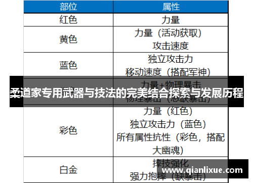 柔道家专用武器与技法的完美结合探索与发展历程