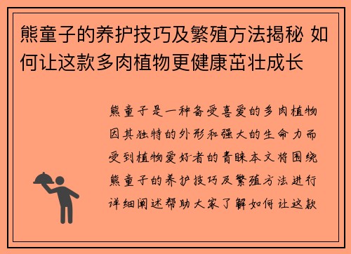 熊童子的养护技巧及繁殖方法揭秘 如何让这款多肉植物更健康茁壮成长